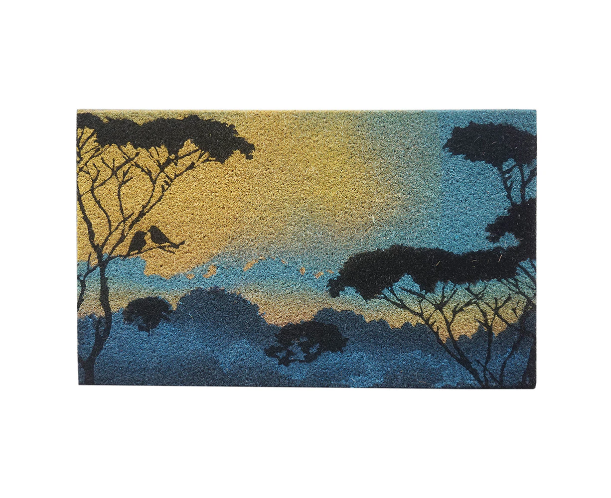 Solemate Latex Backed Coir Blue Sky 45x75cm Slimline Outdoor Stylish Doormat