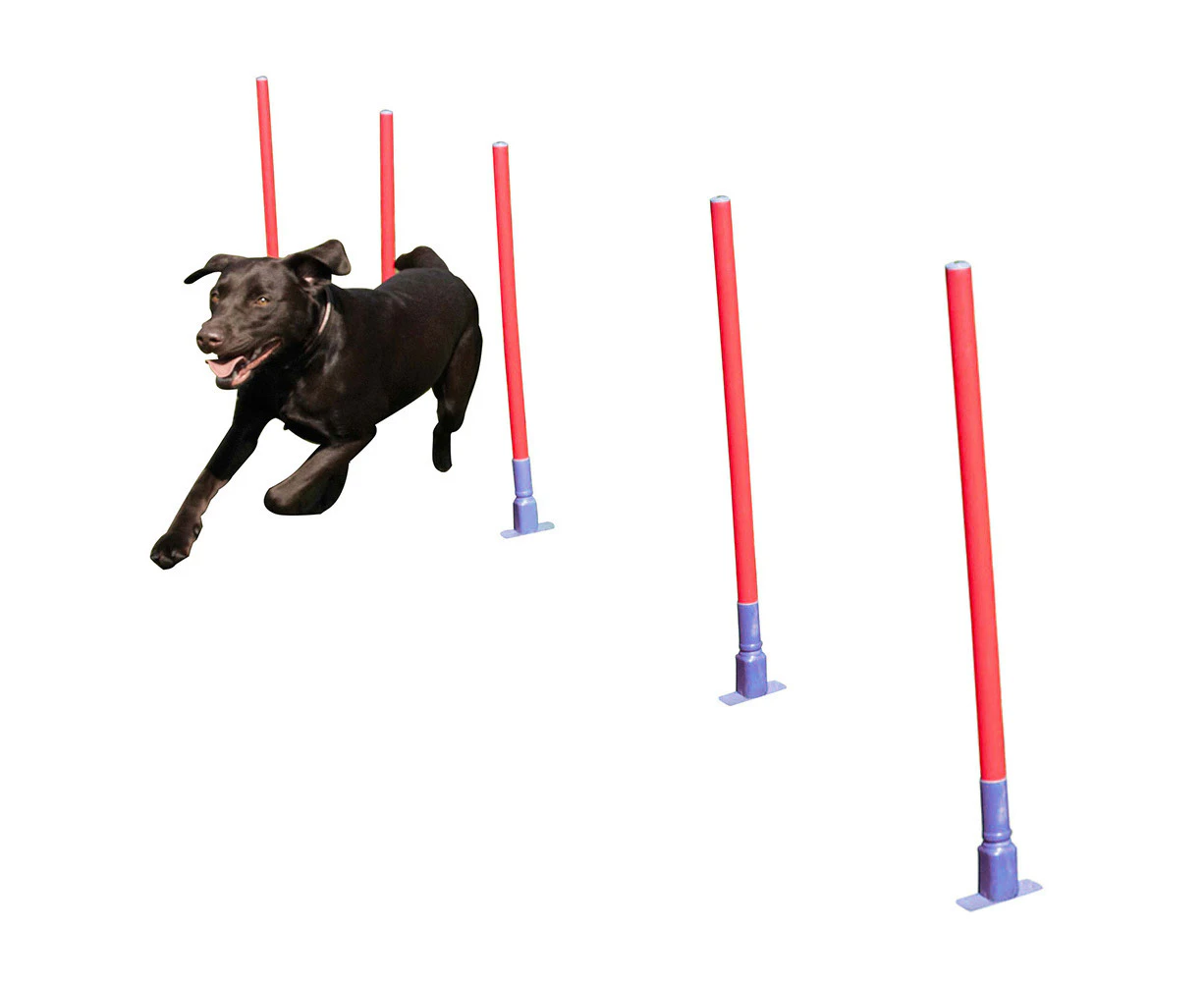 5pc Coopet 81cm Pet Dog Collection Slalom Outdoor Agility Run Training Pole Set