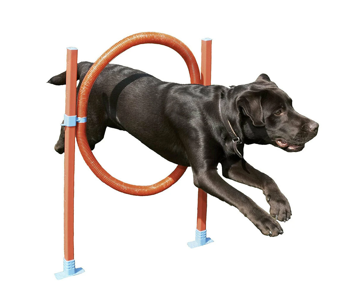 Rosewood Dog 51cm Agility Hoop Jump Training/Exercise Pet Interactive Toy Play