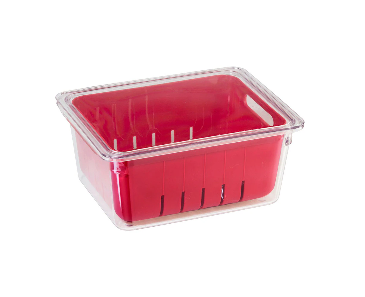 Oggi StoreFresh 22cm Fruit/Veggie Berry Bin Storage Basket Fridge Organiser Red