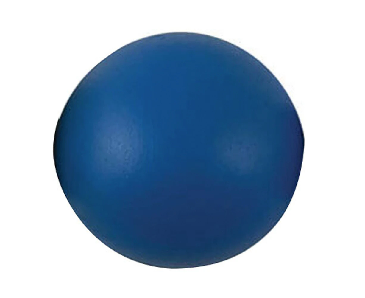 Regent 4kg Shot Puts Round Track & Field Sports Practice/Training Equipment