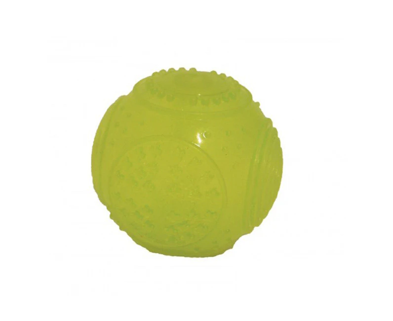 Rosewood Round Glow in the Dark Ball Pet Dog Chew Interactive Fun Play Toy Green