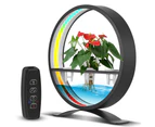 Water Feature Indoor with Light Controller LED Ring Lights Tabletop Ornament 3/9/12H Timer RGB Full Spectrum Hydroponics Waterscape Decorative Lights for L