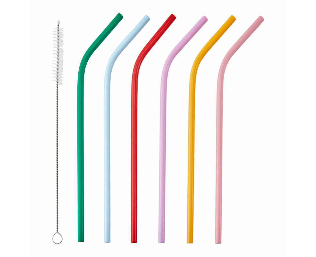 HAYDAE COLLECTIVE Set of 6 Straws