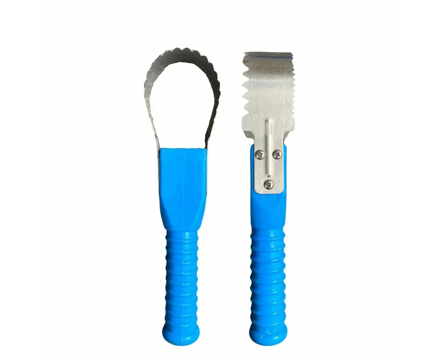 Stainless Steel Fish Scaler Pvc Blue Handle Fs01