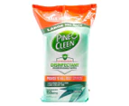 Pine O Cleen Biodegradable Disinfectant Wipes Eucalyptus 150pk