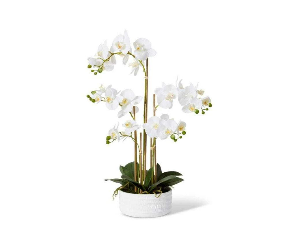 E Style 65cm Plastic Phalaenopsis Textured Bowl Artificial Faux Flower White