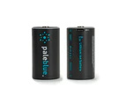 2pc Paleblue Fast Charging Lithium Ion D USB Rechargeable Smart Batteries