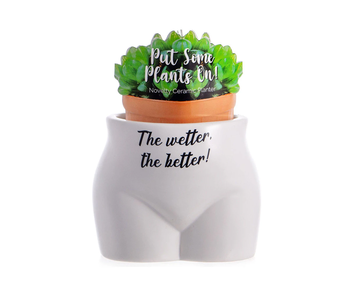 Boxer Gifts Put Some Plants On The Wetter The Better Planter Funny Pot White