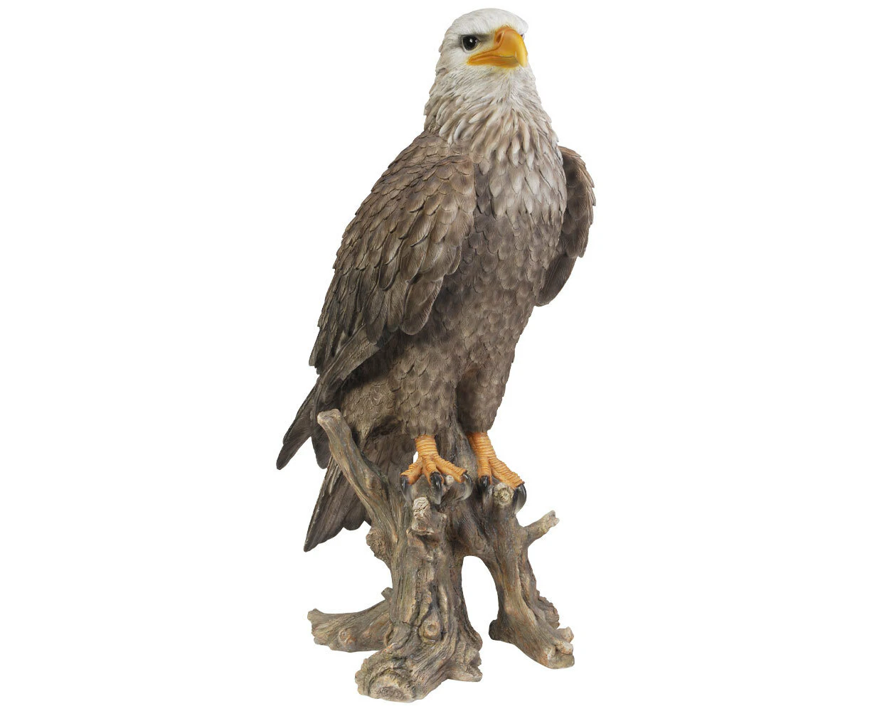 Northcote Pottery Bald Eagle Resin Statue Garden Ornament Outdoor Decor 68cm