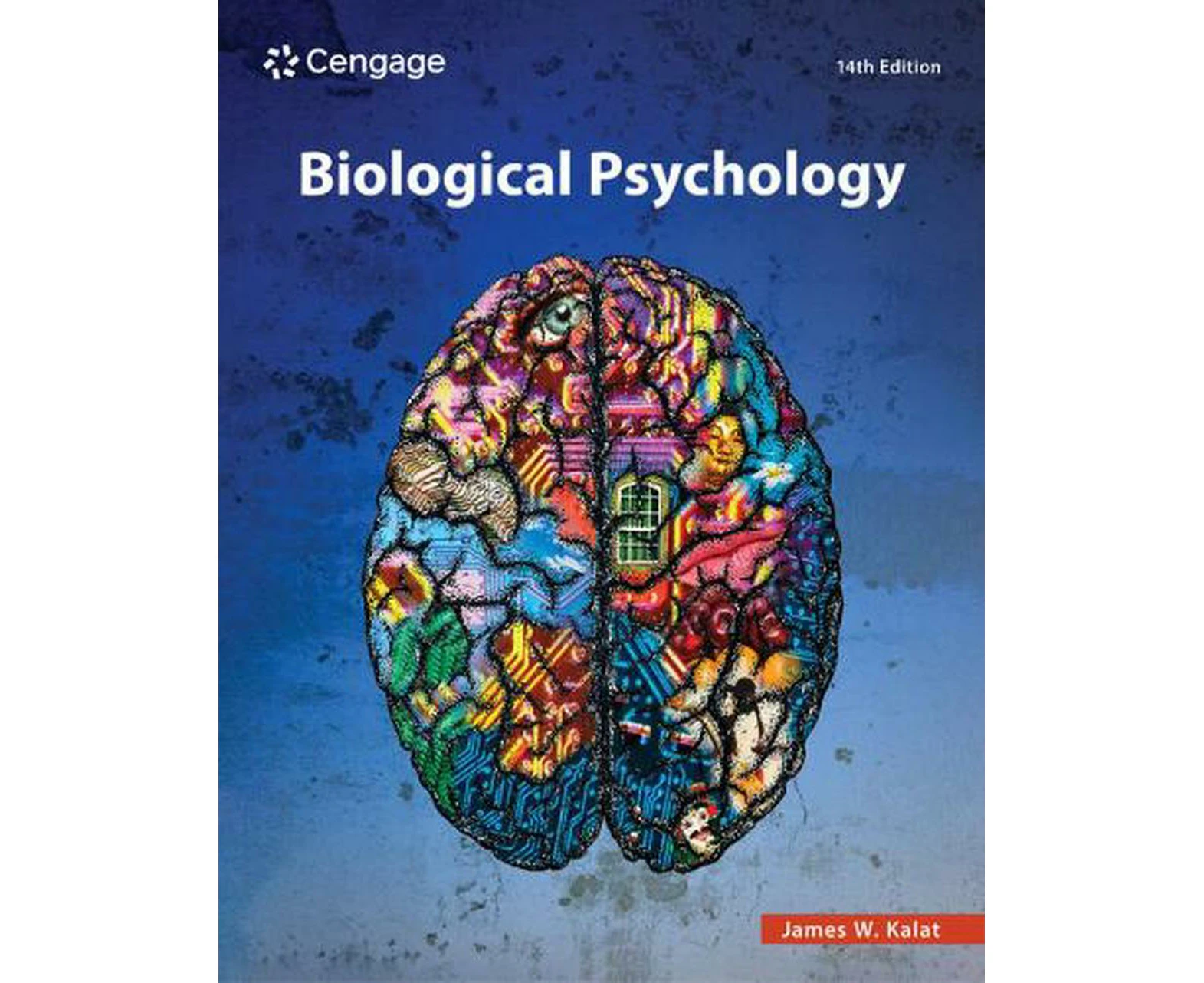 Biological Psychology