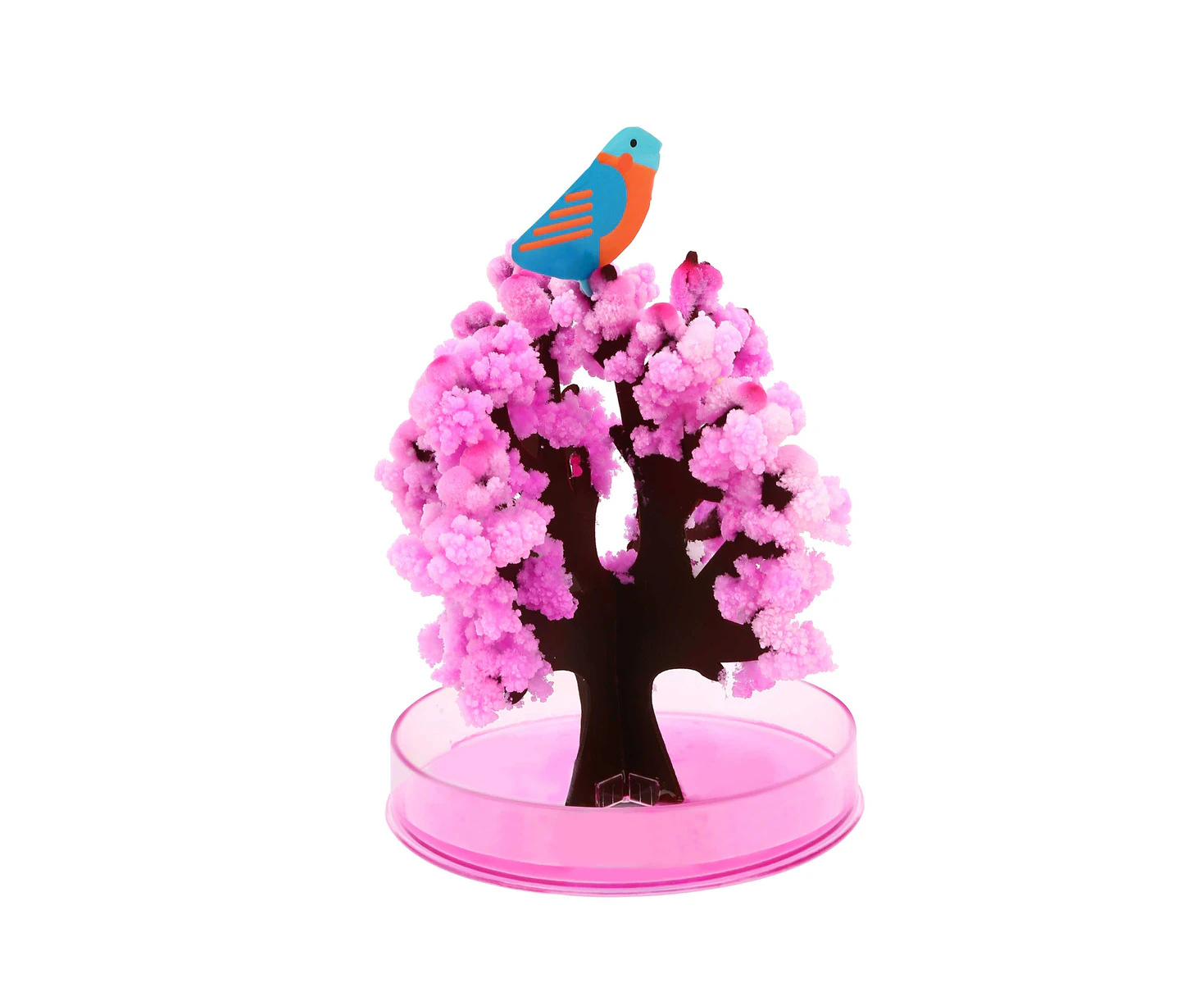 Tookyland Magic Growing Sakura Cherry Blossom Tree Art/Craft Activity Toy 3y+