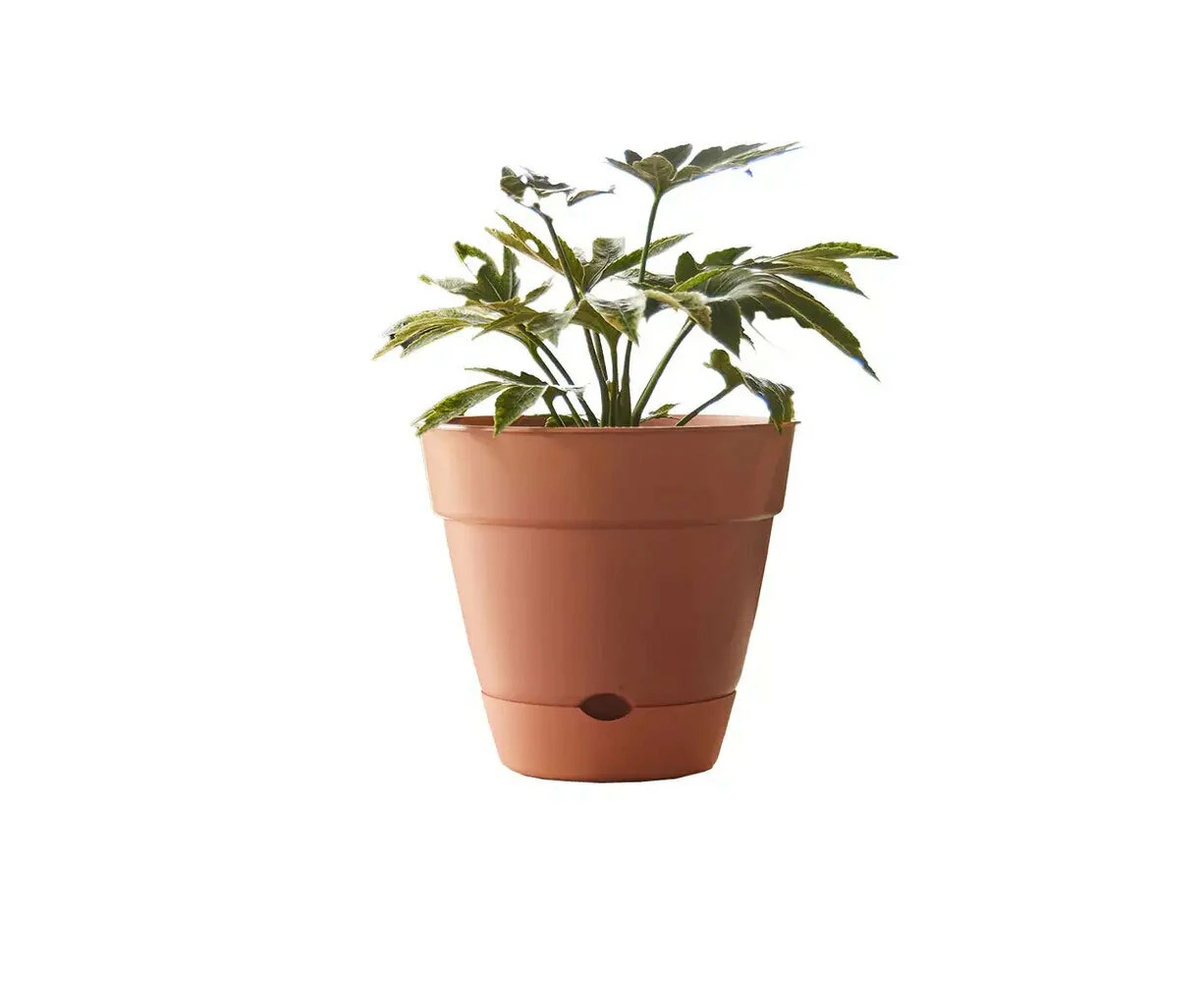 Northcote Pottery Leonard 38x34cm Self Watering Plant Pot Garden Decor Brick