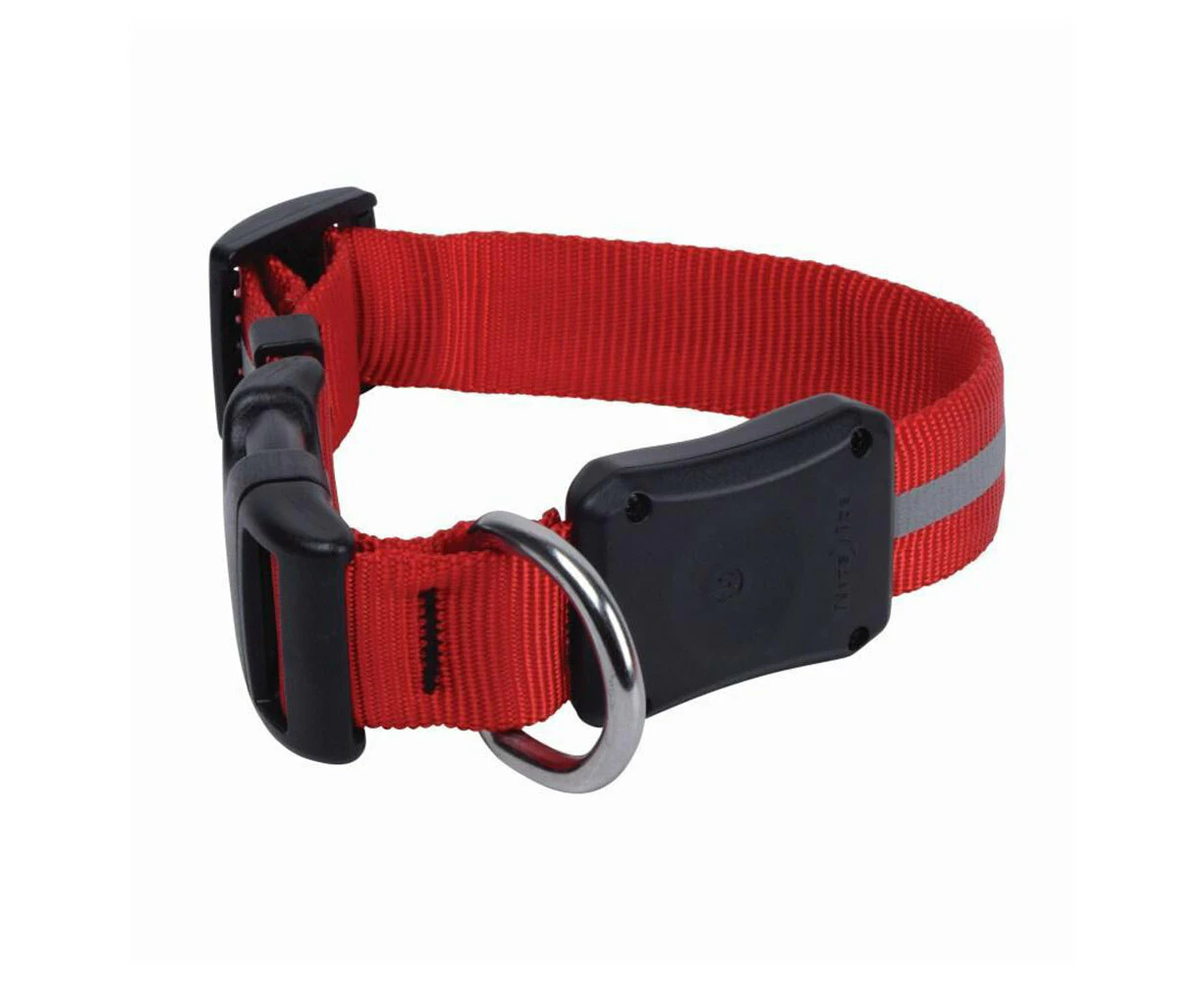 Nite Ize NiteDawg Red LED Light Glow/Flash Water Resistant Dog Collar 25-33cm S