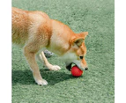 Pidan Wave Chew/Fetch Bouncing Ball Pet Dog/Puppy Interactive Fun Play Toy Red