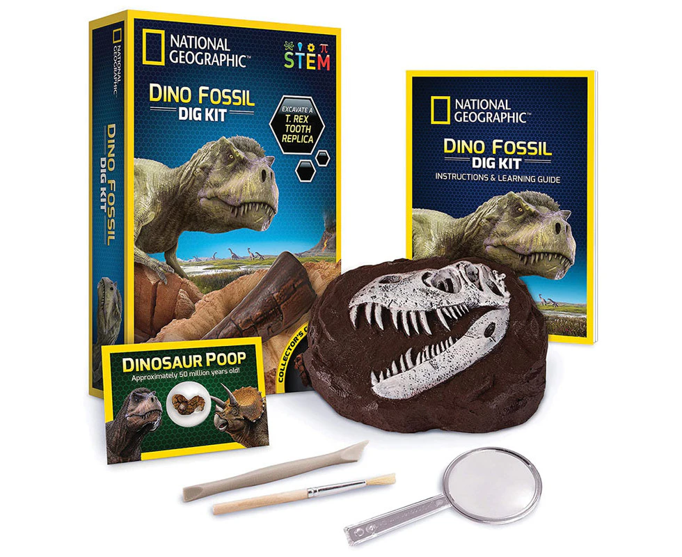 National Geographic Dino Fossil Dig Kit Kids/Children Activity Fun Play Toy 8+