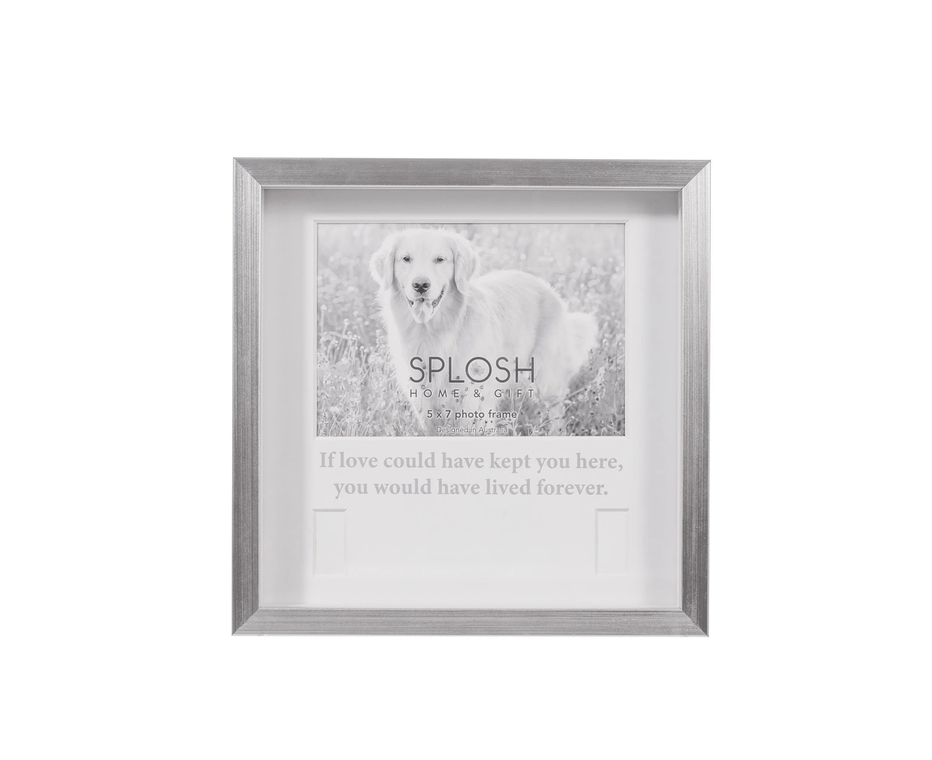 Splosh Sympathy Pet Memorial Collar Frame Standing Display Cat/Dog Keepsake 25cm