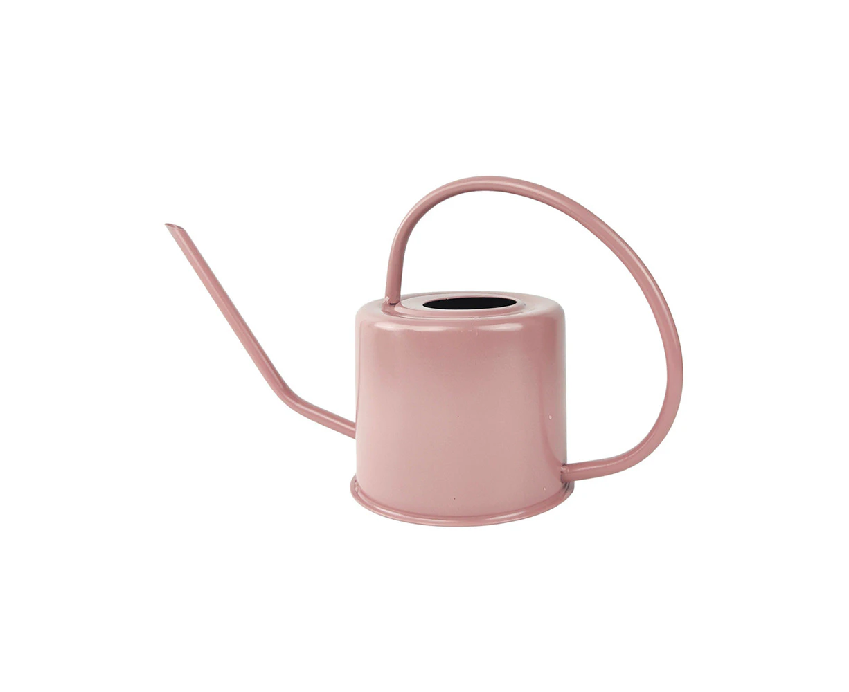 Urban 24x35cm Modern Metal Watering Can Garden Planting Water Container Rose