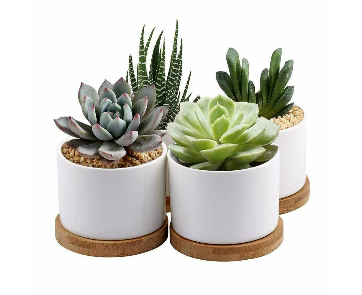 4 Pack White Succulent Plant Pots,Mini 3.5in Ceramic Flower Pot with Bamboo Tray