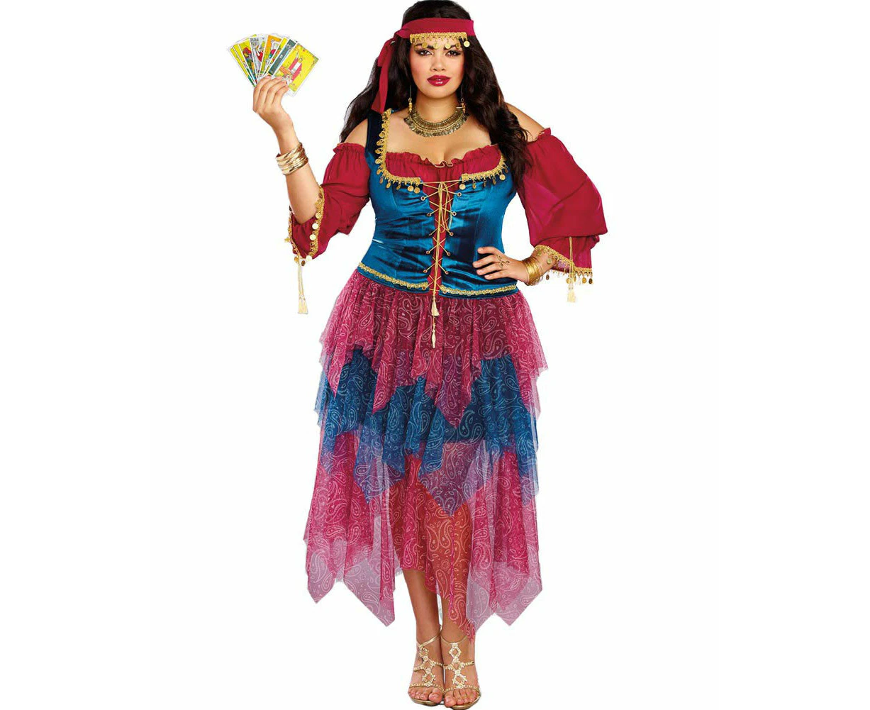 Travelling Gypsy Deluxe Women's Plus Size Costume Womens