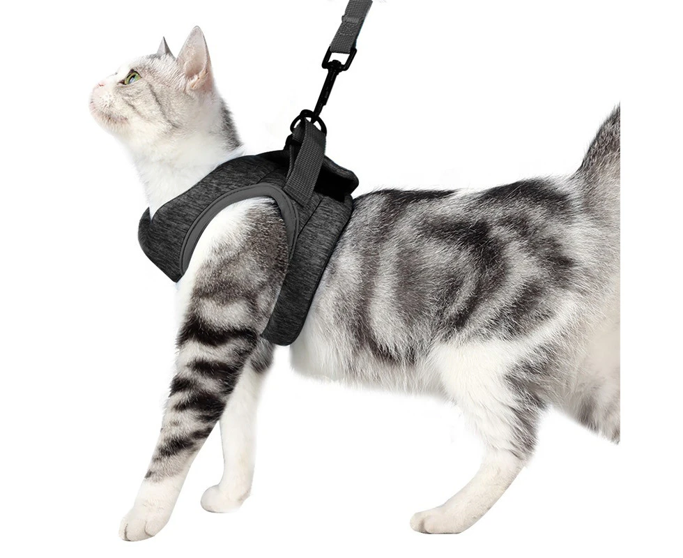 Cat Harness Walking Chest Strap Vest Pet Jacket Kitten Leash Set-Grey M