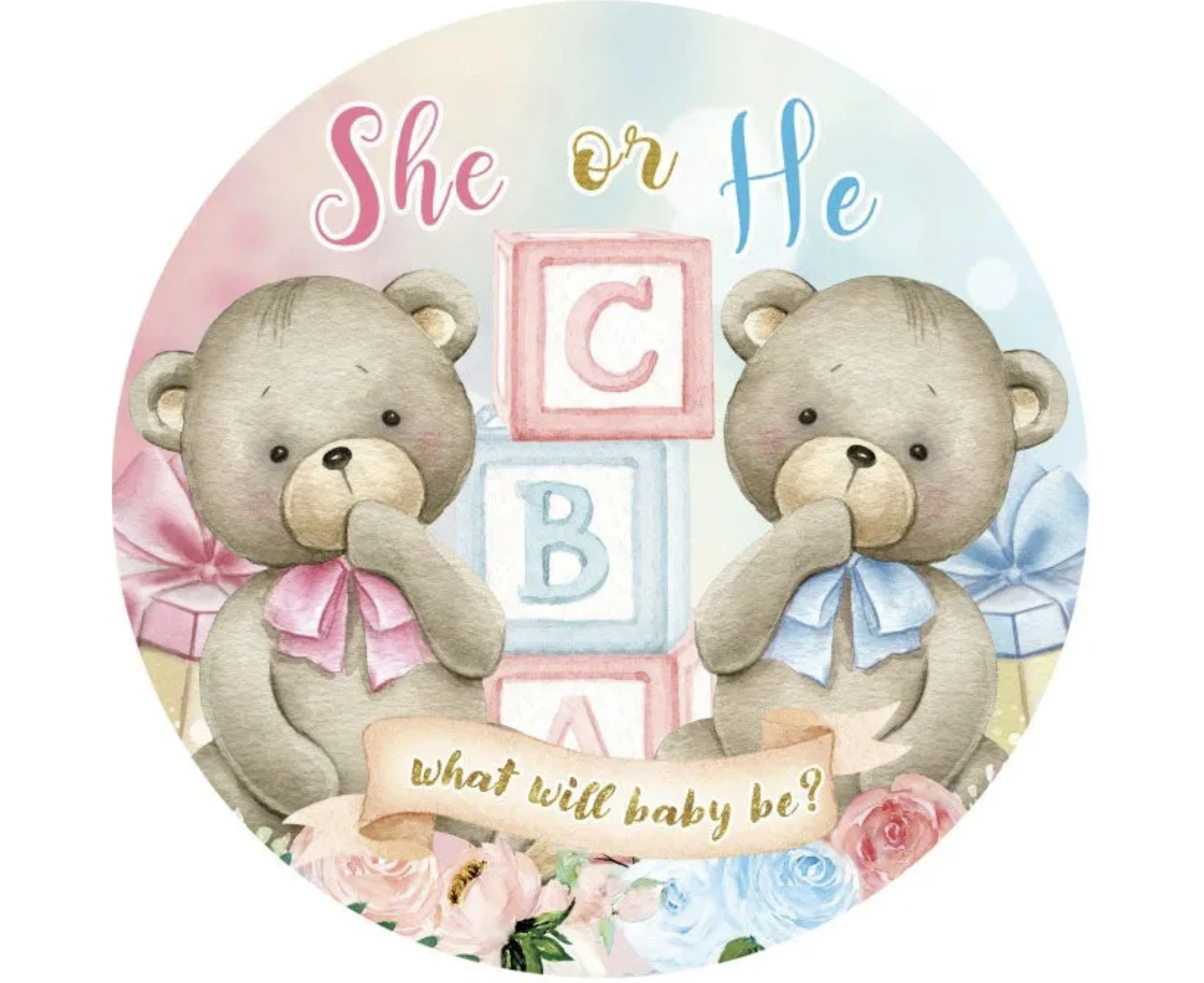 BABY SHOWER GENDER REVEAL TEDDY TEDDYBEARS ABC PARTY ROUND BIRTHDAY BANNER BACKDROP