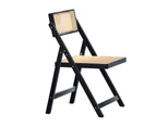 Artiss Dining Chair Wooden Rattan Foldable Black