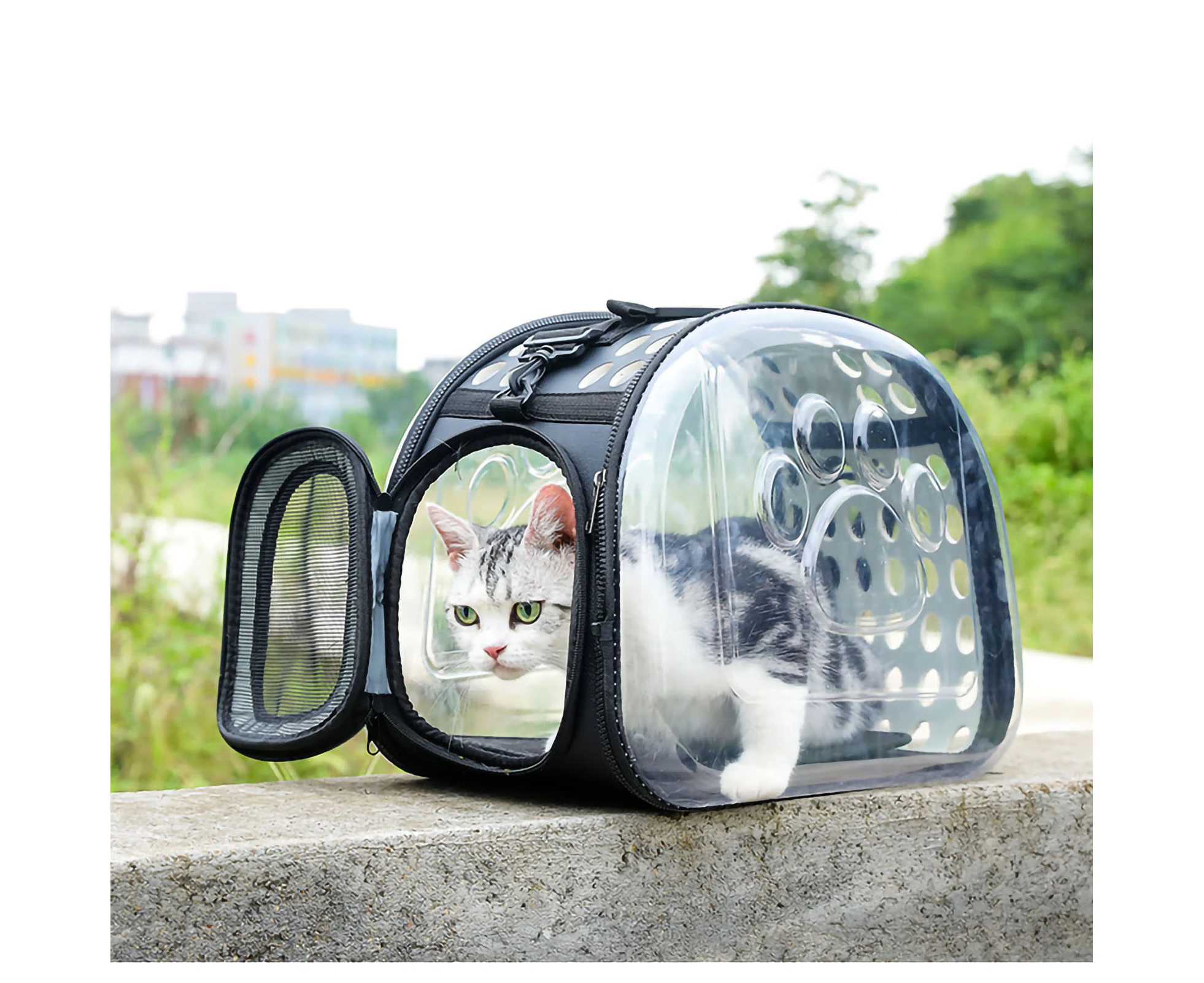 Cat Carrier Backpack Portable Large Capacity Foldable Breathable Handheld Space Capsule Transparent Bags for Outdoor Grey L