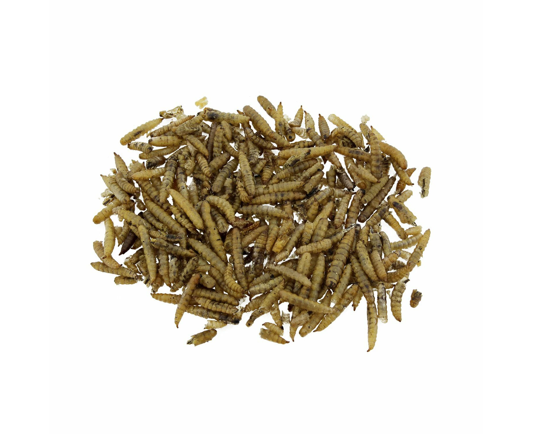 Fish Organic Dried Black Soldier Fly Larvae 125g