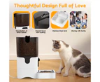 Automatic Cat Feeder Camera 6L Timed Pet Feeder Dry Food Dispenser for Cats & Dogs, 5G WiFi APP, Night Vision, 10s Meal Call, Dual Power Supply