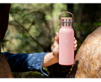 Orchid Pink Smart Hydration Flask (500ML)