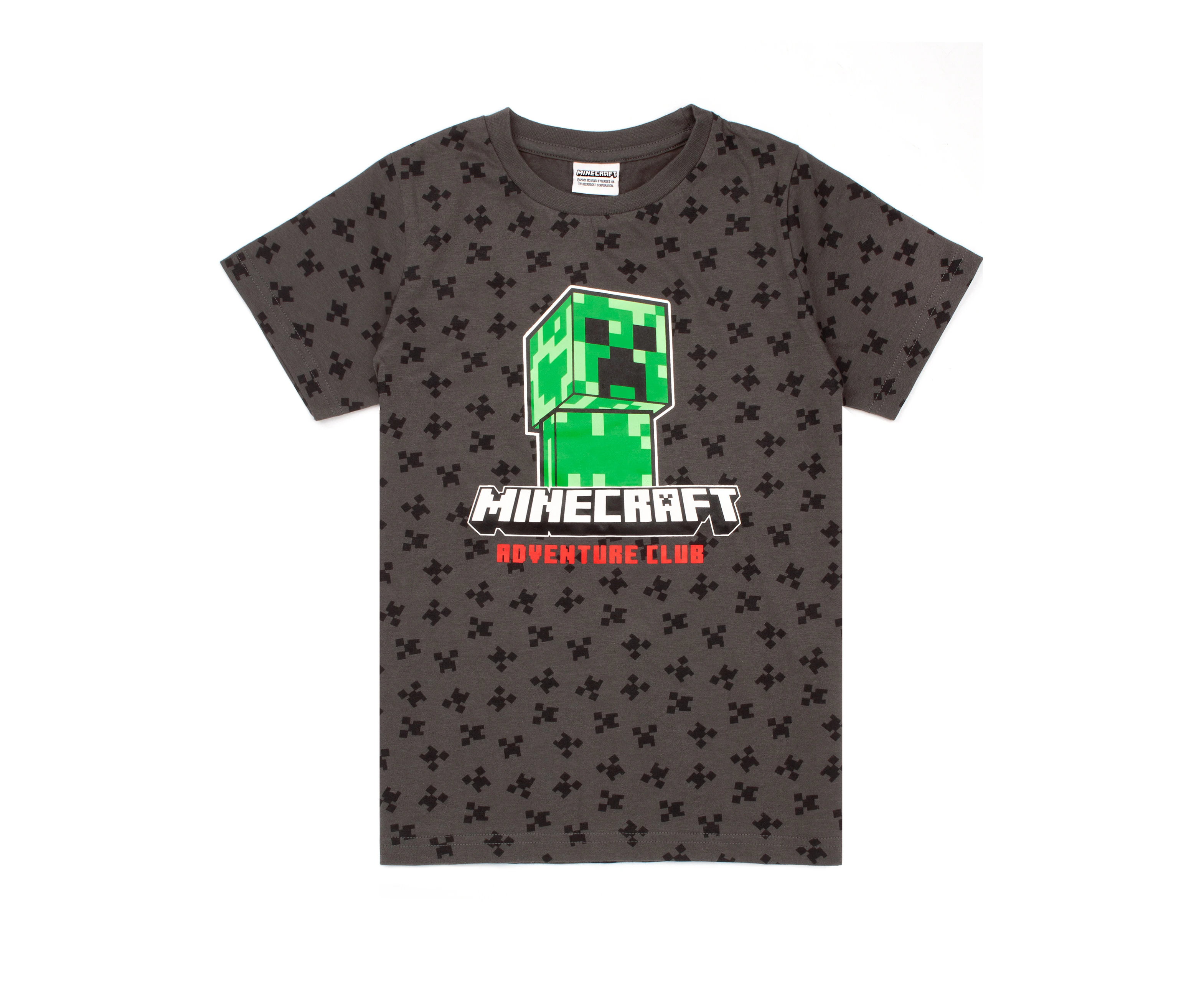 Minecraft Boys Short Sleeved T-Shirt (Grey)