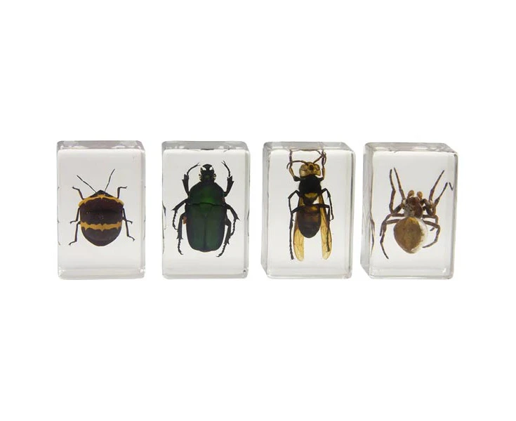 Celestron 3D Bug Specimen Kit # 2 - 44408