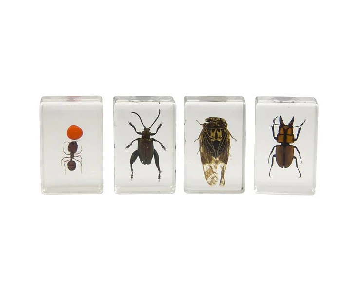 Celestron 3D Bug Specimen Kit # 3 - 44409