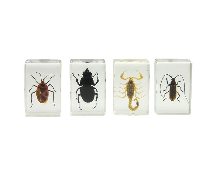 Celestron 3D Bug Specimen Kit #1