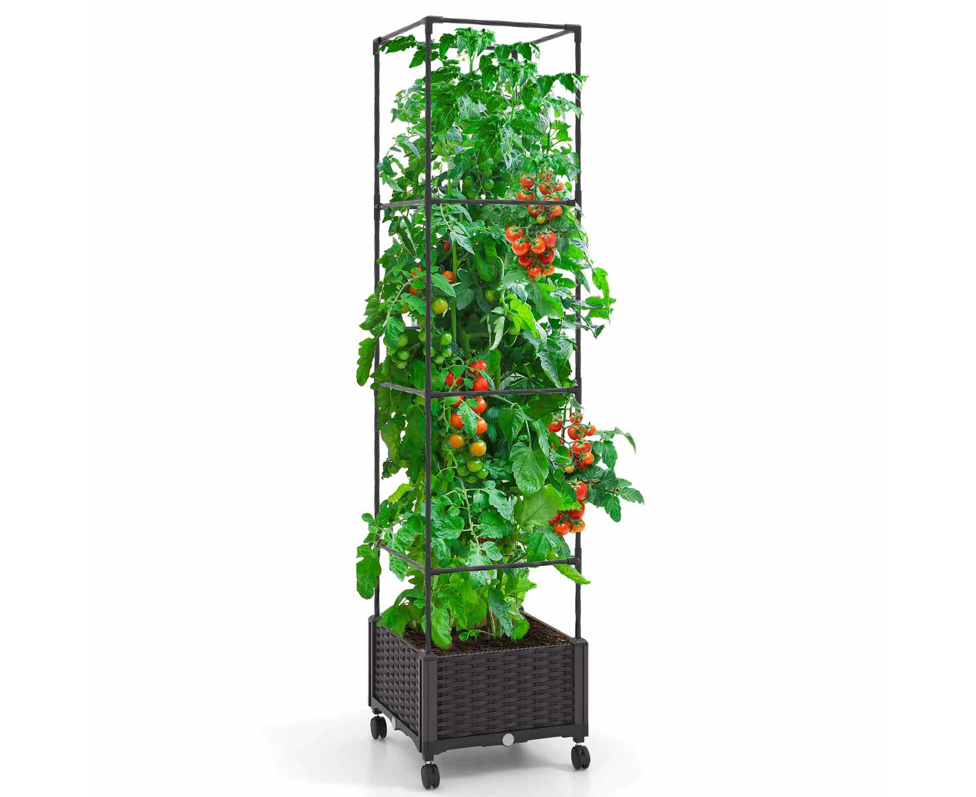 Costway 1.7M Indoor Outdoor Adjustable Raised Garden Bed on Wheels, Self-Watering System