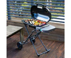 Portable Gas BBQ Grill On Wheels