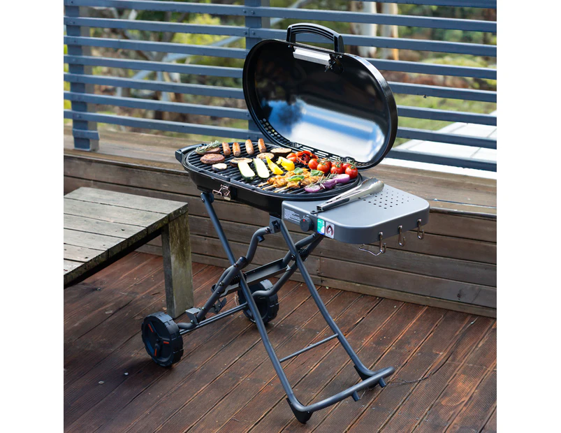 Portable Gas BBQ Grill On Wheels