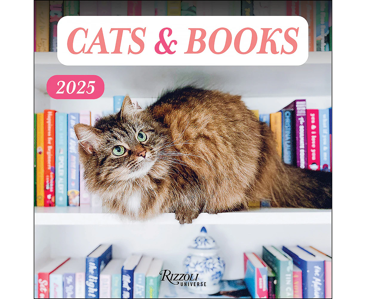 2025 Calendar Cats & Books Square Wall Andrews McMeel AM44748