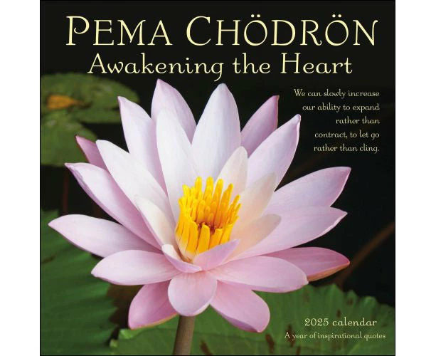 2025 Pema Chodron Wall Calendar