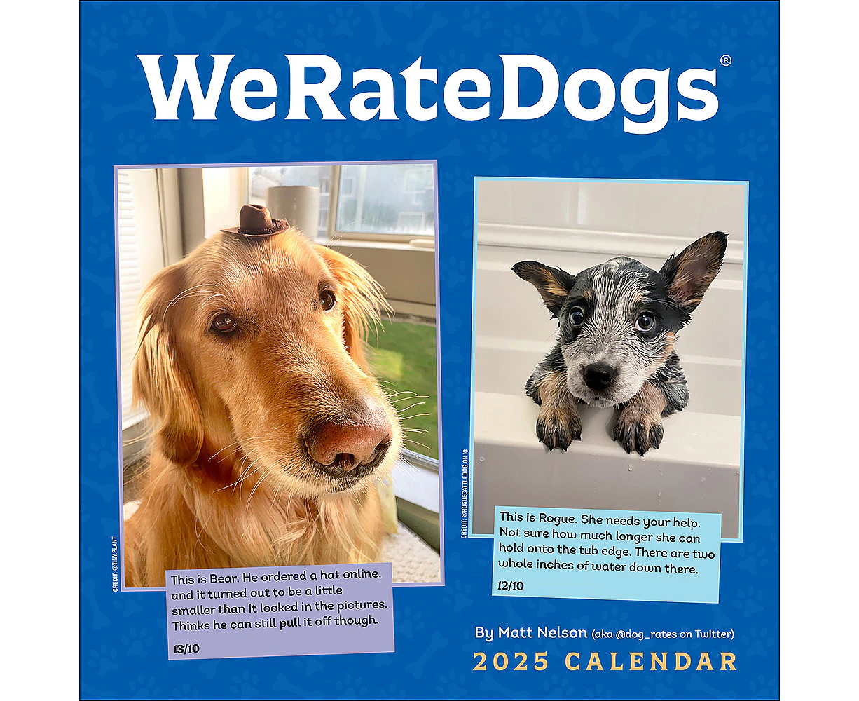 2025 Calendar WeRateDogs Square Wall Andrews McMeel AM87018