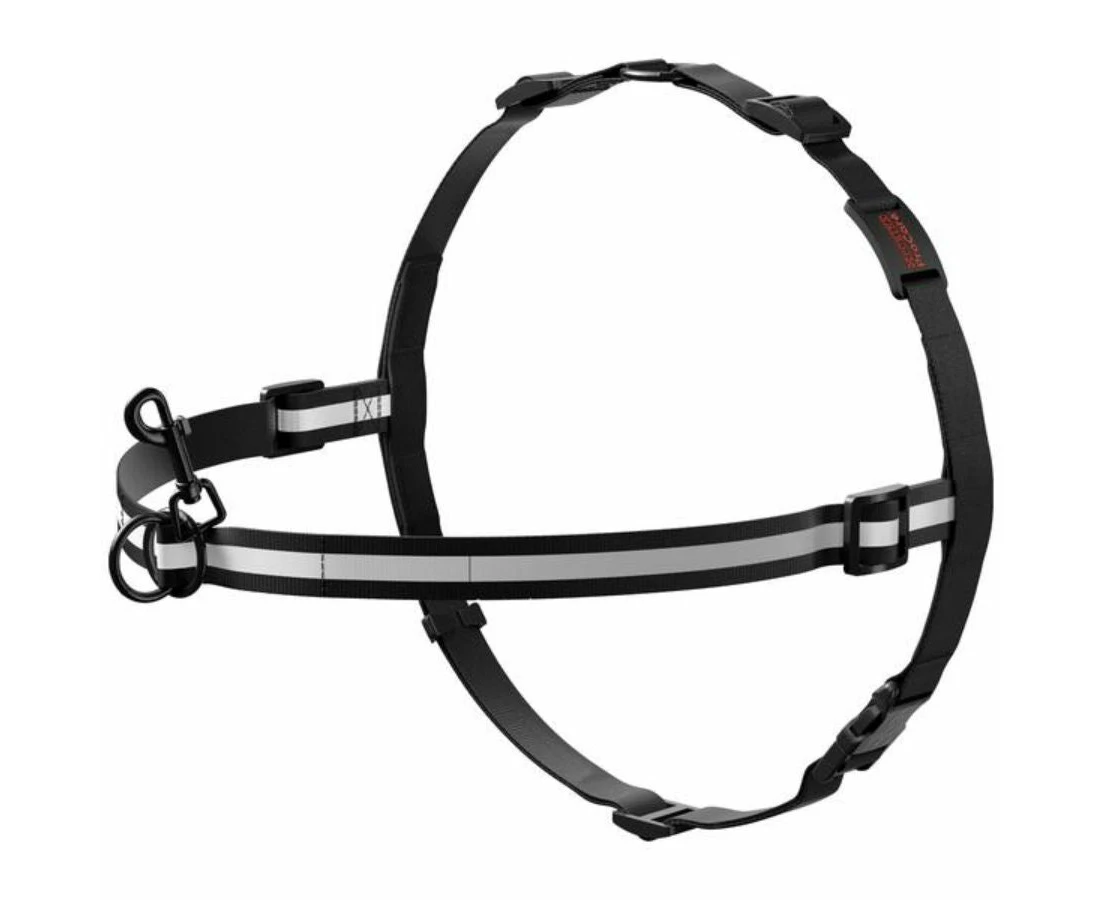 ProCare Training Harness