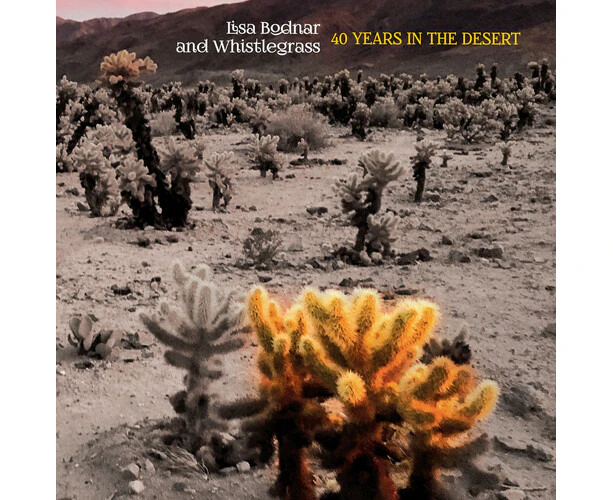 Bodnar,Lisa & Whistlegrass - 40 Years In The Desert  [COMPACT DISCS] USA import