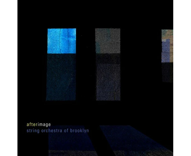 Argus Quartet  Hughes  Maroney  The String Orchestra Of Brooklyn  Priday  Spindel - Afterimage  [COMPACT DISCS] USA import