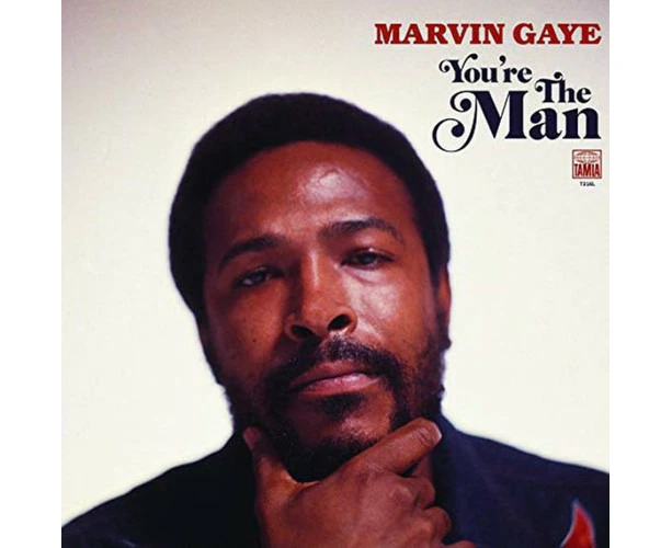 Marvin Gaye - You're The Man  [COMPACT DISCS] USA import