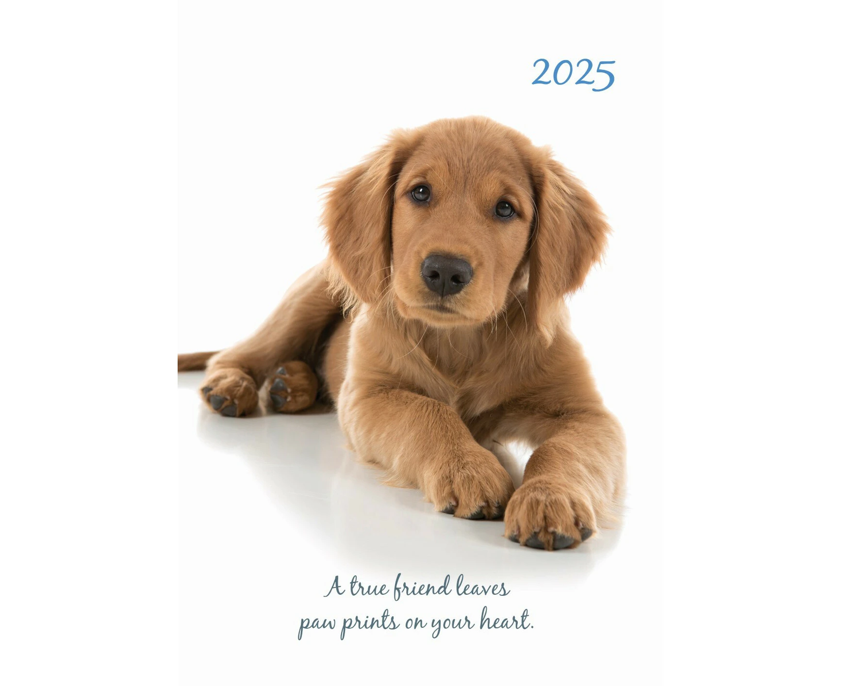 Adorable Dogs - 2025 Diary Planner A5 Padded Cover by The Gifted Stationery