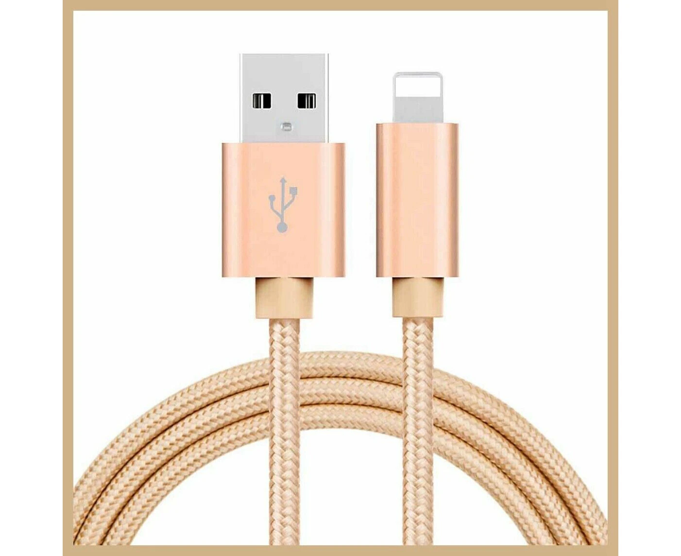 Braided USB Charger Phone Cable Cord iPhone 14 13 12 11 Pro Max XR iPad- Gold 2M