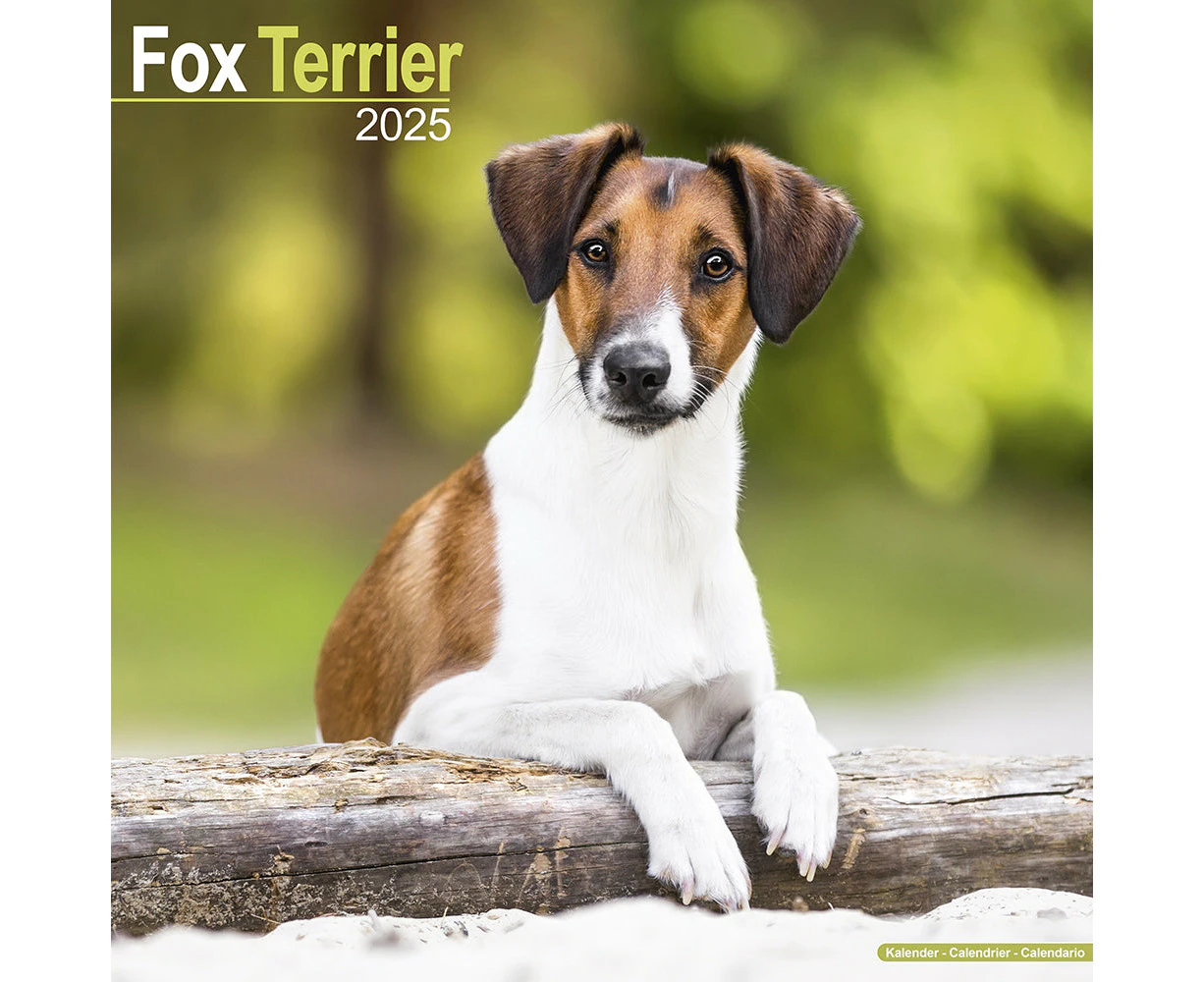 2025 Fox Terrier Wall Calendar (Online Exclusive)