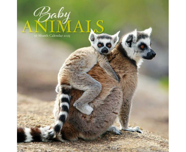 2025 Baby Animals Wall Calendar