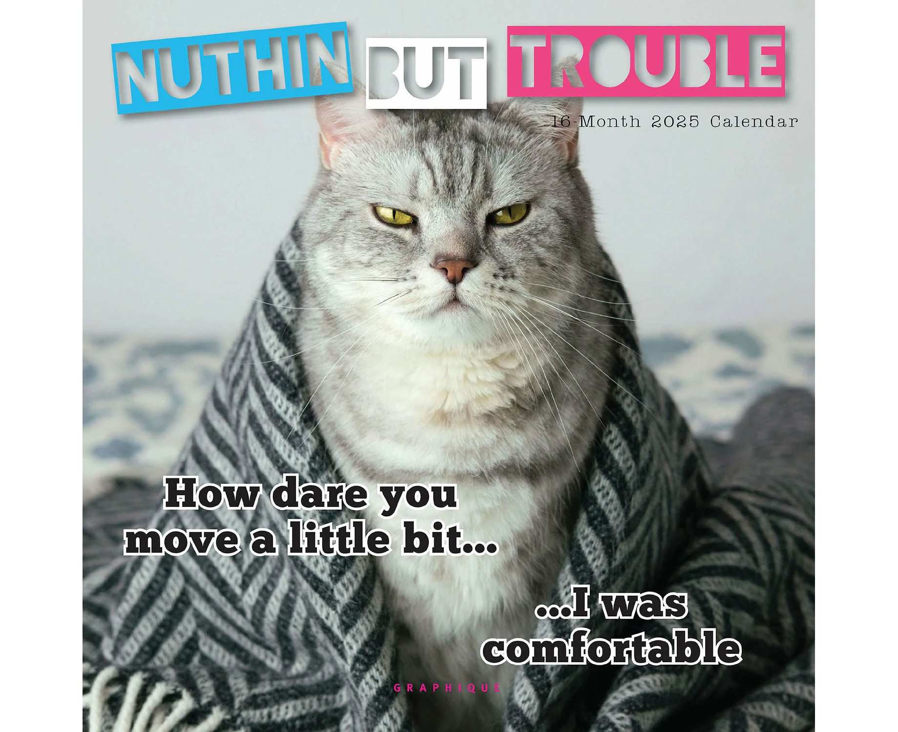 2025 Nuthin' But Trouble Mini Wall Calendar